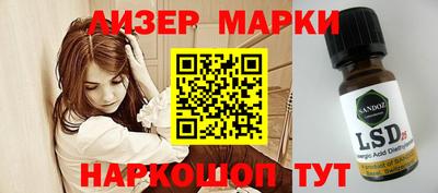 mdpv Гатчина