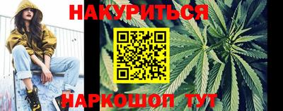 спиды Гай