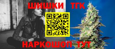 спиды Гай