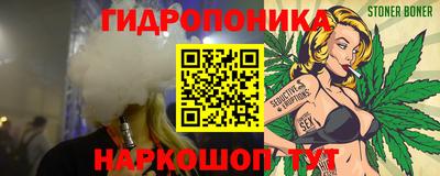 спиды Гай