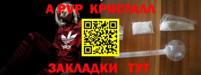 спиды Гай
