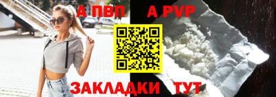 спиды Гай