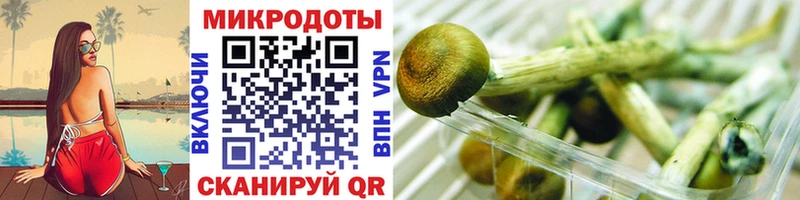 Псилоцибиновые грибы Magic Shrooms  Дзержинск 