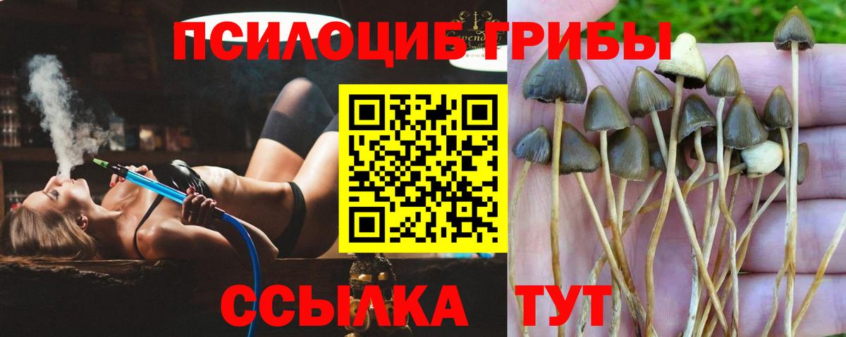 Дзержинск  Галлюциногенные грибы Magic Shrooms  Вход с VPN 