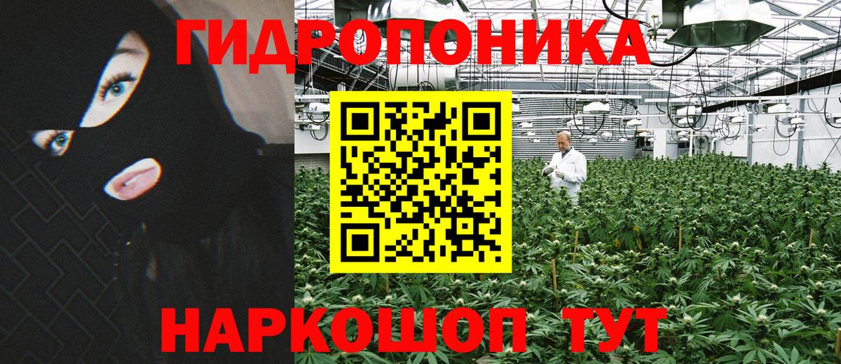 Шишки марихуана LSD WEED  Бошки Шишки планчик  Вход с VPN  Дзержинск 